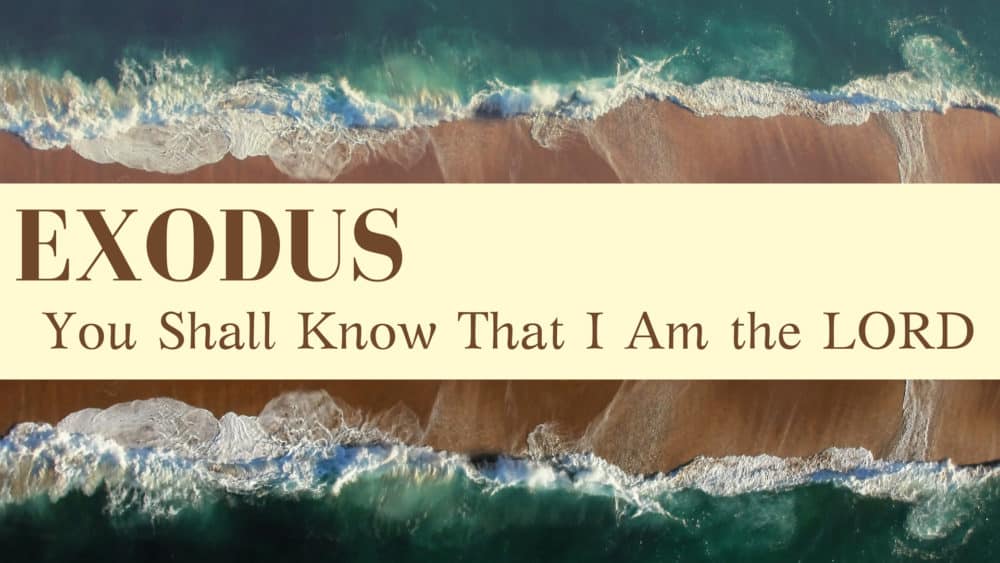Exodus - You Shall Know That I Am The Lord