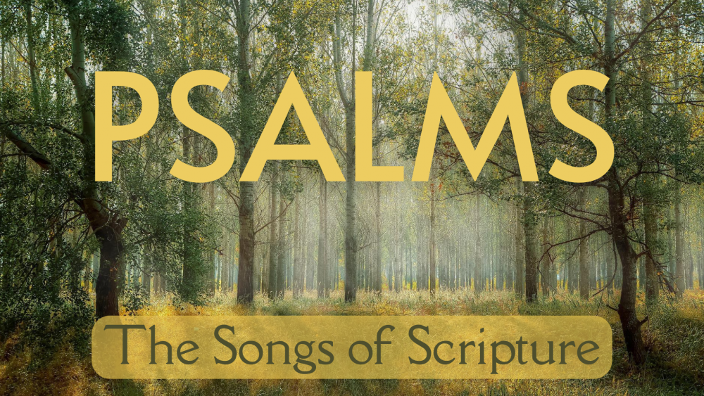 Psalms: The Songs of Scripture