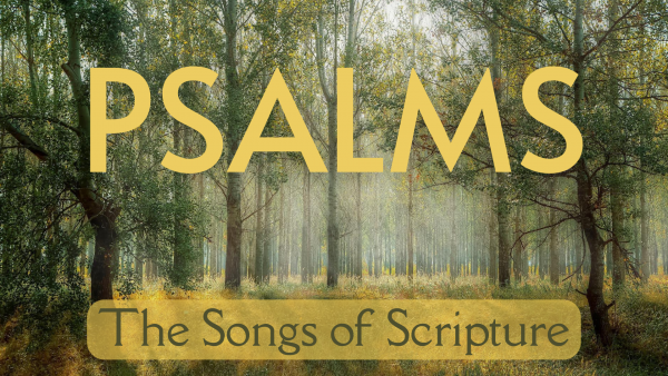 Psalm 115 - Advent: We Need God Image