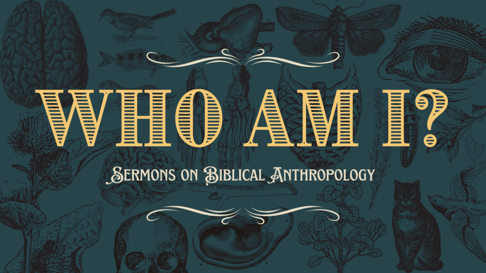 Who am I? Sermons on Biblical Anthropology